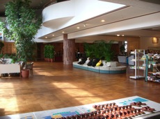 PHOTO: ���r�[